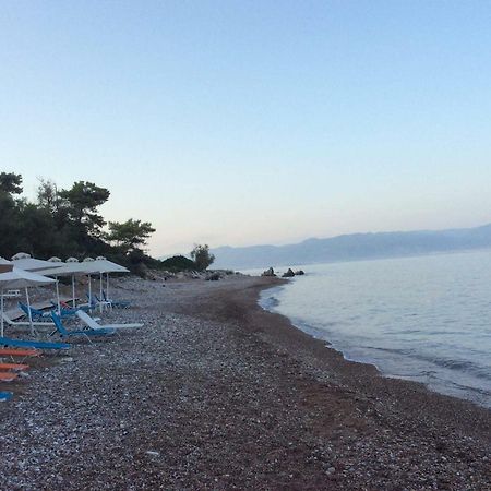 Petalidi Fragkos 아파트 외부 사진
